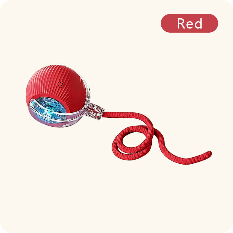 Smart automatic pet toy electric ball