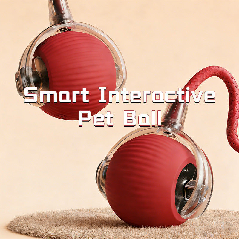 Smart automatic pet toy electric ball
