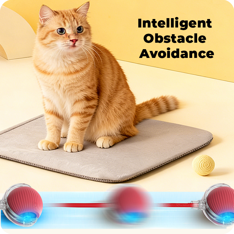 Smart automatic pet toy electric ball